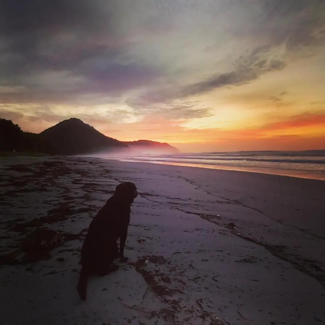 Praia De Itamambuca- Casa Charmosa E Iluminada Ubatuba Luaran gambar